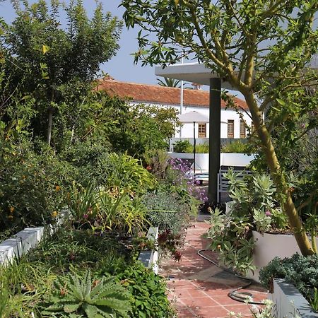 Jungle Paradise La Orotava Dış mekan fotoğraf