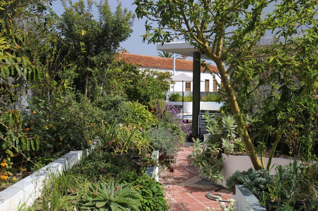 Jungle Paradise La Orotava Dış mekan fotoğraf