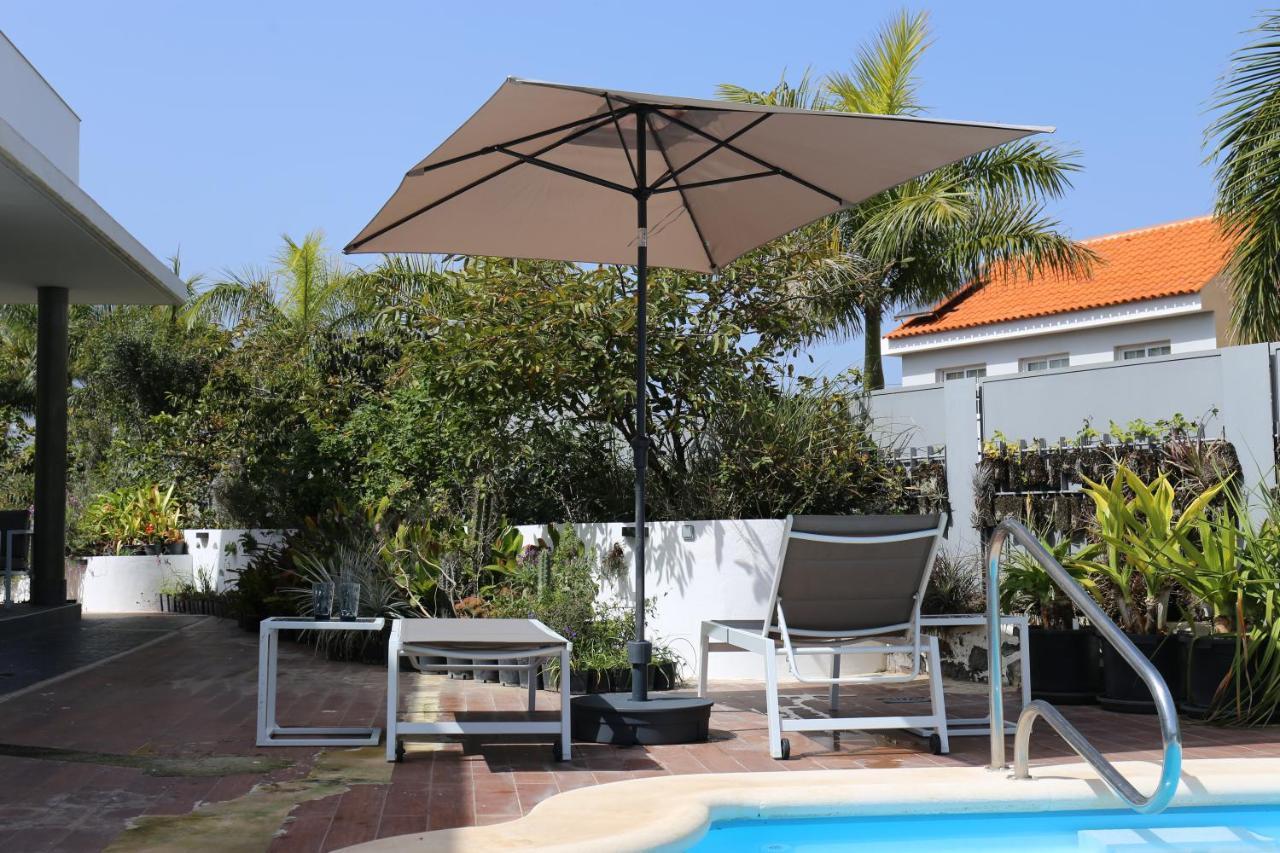 Jungle Paradise La Orotava Dış mekan fotoğraf
